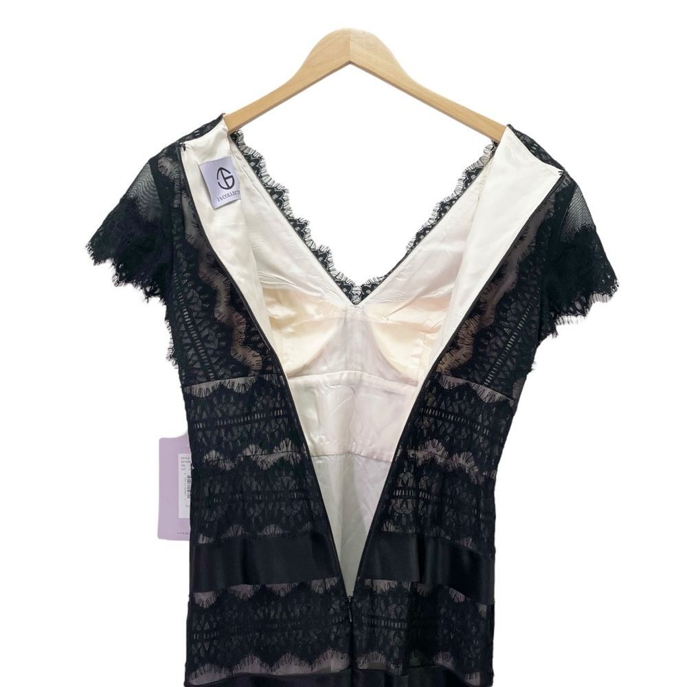 NWT JS Collections Black Nude Lace Illusion Midi Dress Sheer Stripe Size 6 NEW - Picture 8 of 13